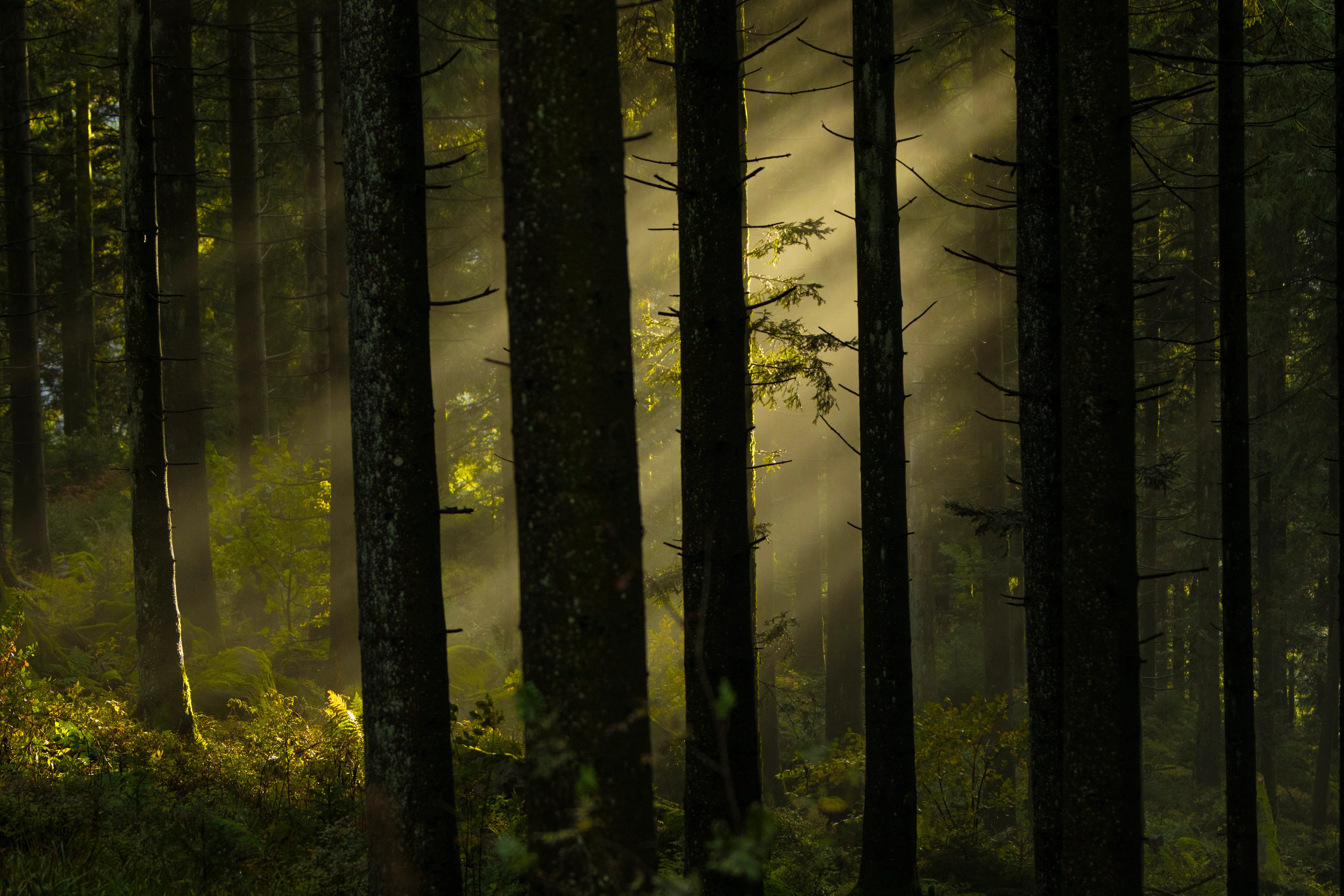 Paysage — Nature