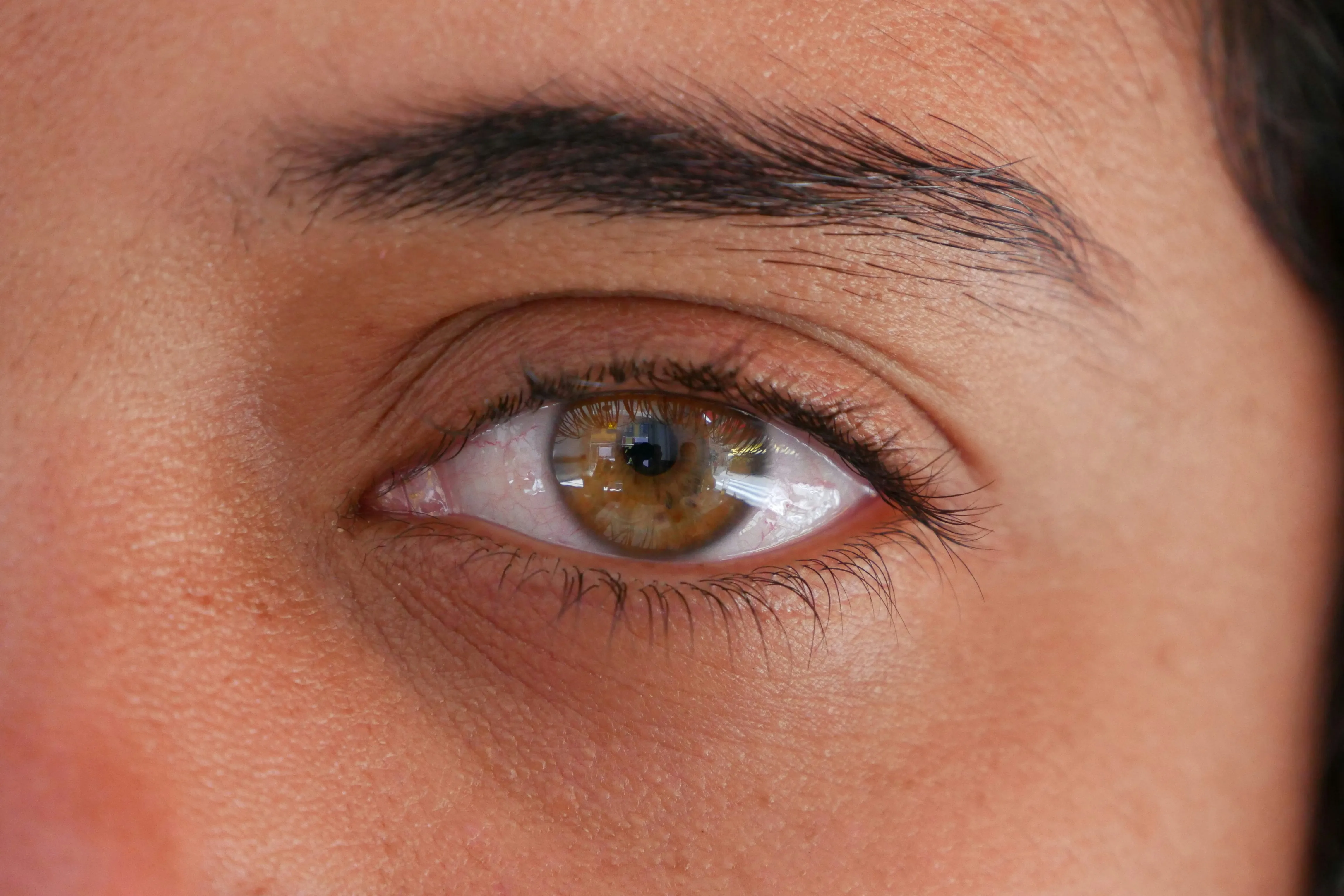 Lentilles